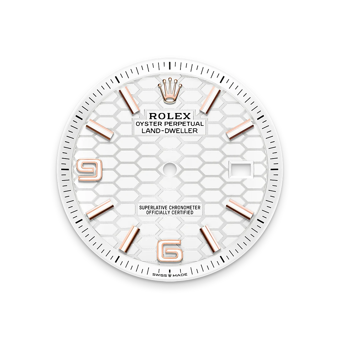 rolex-bespoke-assets-2026/model_feature_assets_landscape/dial_landscape/m127335-0001.webp