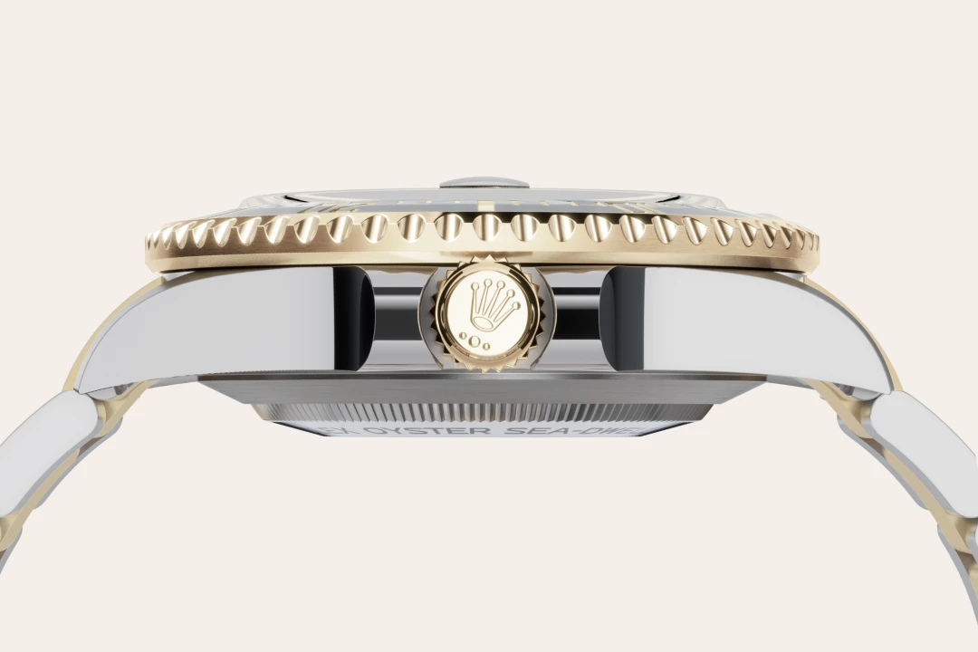 rolex-bespoke-assets-2026/model_feature_assets_landscape/material_landscape/m126603-0001--060.webp
