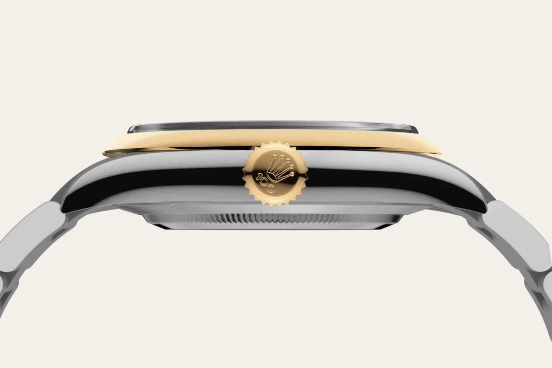 rolex-bespoke-assets-2026/model_feature_assets_landscape/material_landscape/m134303-0001--060.webp