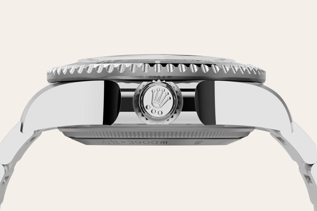 rolex-bespoke-assets-2026/model_feature_assets_landscape/material_landscape/m136660-0005--060.webp