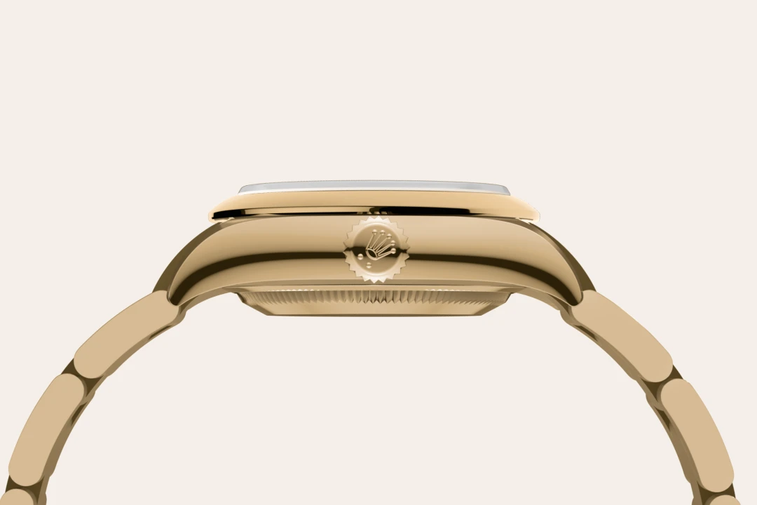 rolex-bespoke-assets-2026/model_feature_assets_landscape/material_landscape/m276208-0002--060.webp