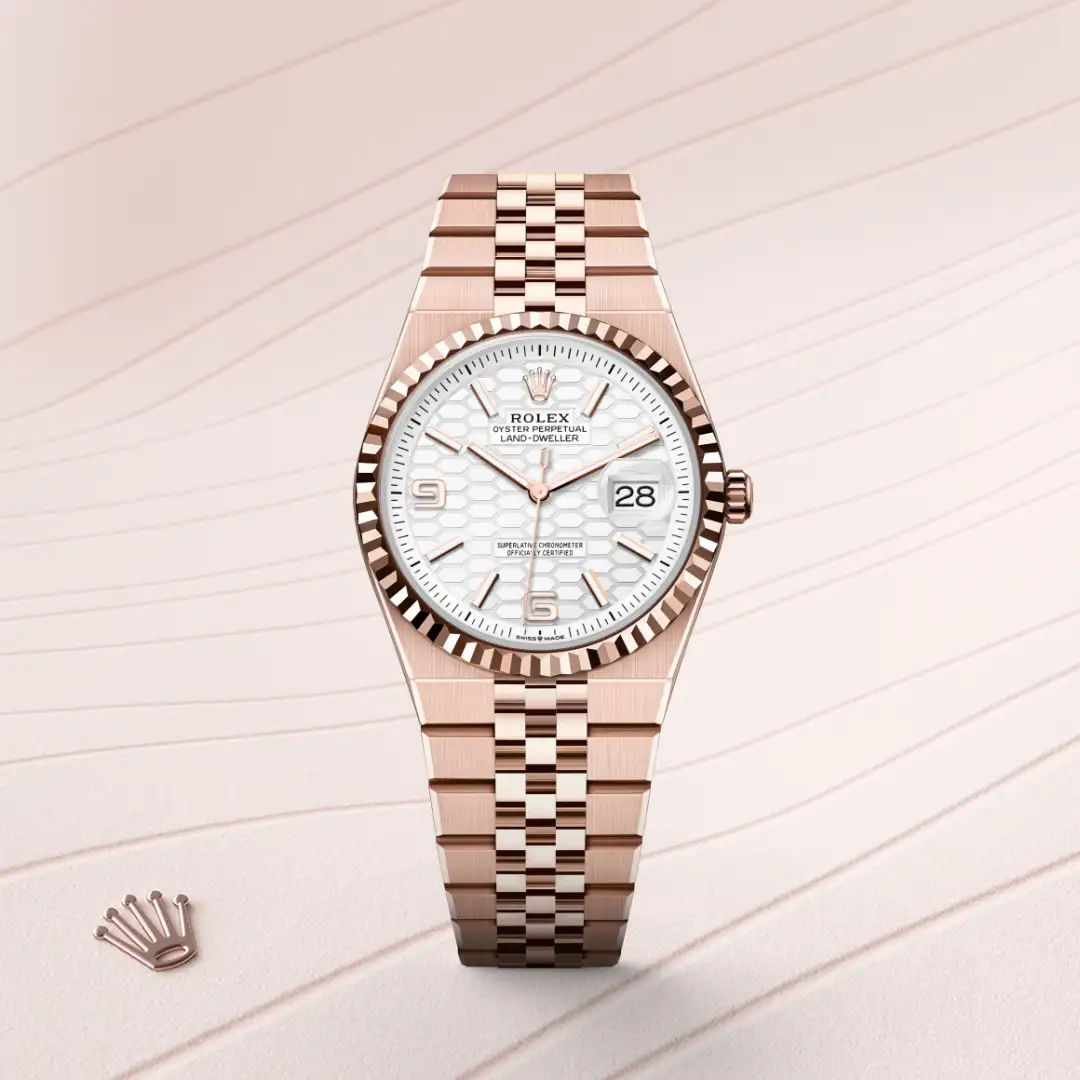 rolex Land-Dweller in 18 ct Everose gold, M127235-0001 - Hausmann & Co.