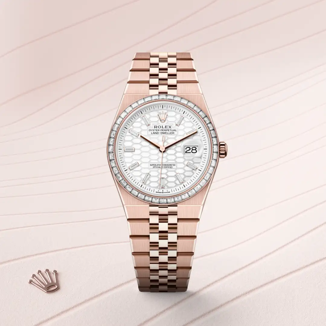 rolex Land-Dweller in 18 ct Everose gold, M127285TBR-0002 - Hausmann & Co.