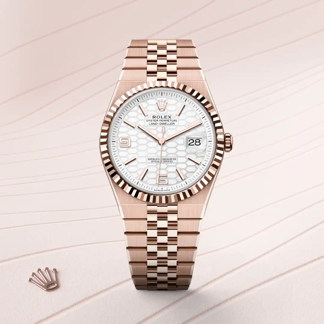 rolex Land-Dweller in 18 ct Everose gold, M127335-0001 - Hausmann & Co.
