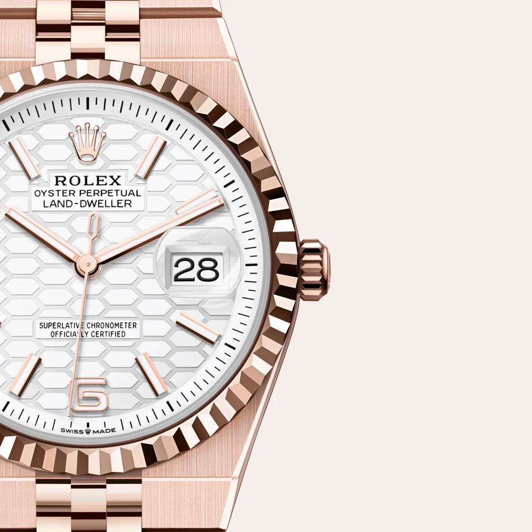 rolex Land-Dweller in 18 ct Everose gold, M127235-0001 - Hausmann & Co.