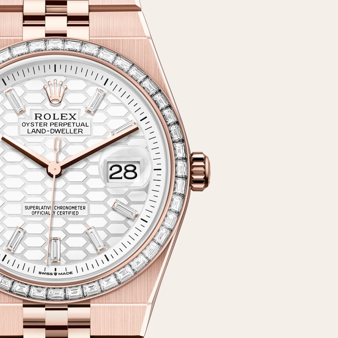 rolex Land-Dweller in 18 ct Everose gold, M127285TBR-0002 - Hausmann & Co.