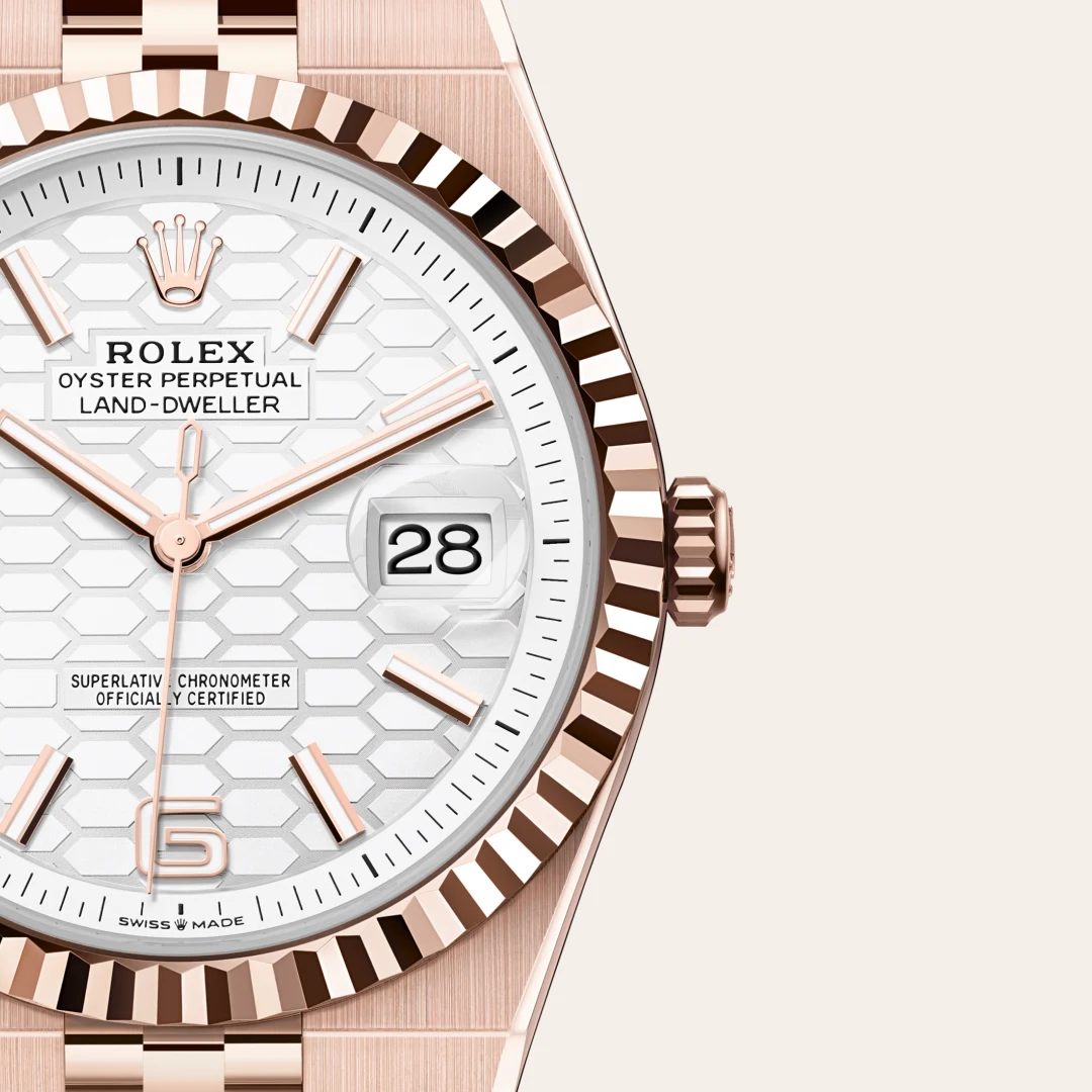 rolex Land-Dweller in 18 ct Everose gold, M127335-0001 - Hausmann & Co.