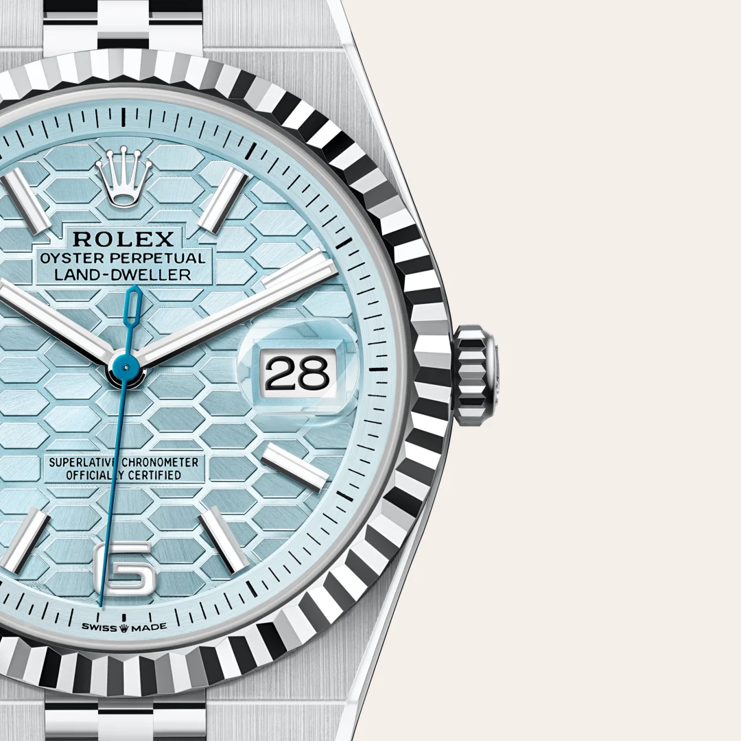 rolex Land-Dweller in Platinum, M127336-0001 - Hausmann & Co.